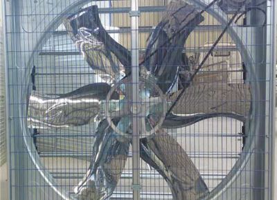 點擊查看詳細(xì)信息<br>標(biāo)題：Push Pull Type Animal Husbandry Fan 閱讀次數(shù)：2086